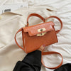 Popular New Elegant Women's Shoulder Crossbody Platinum Pouch