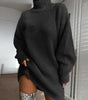 Solide Rollkragen Lange Pullover Winter Warme Frauen Pullover Kleid