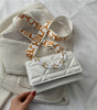 Casual Women's New Simple Ins Broadband Messenger Bag