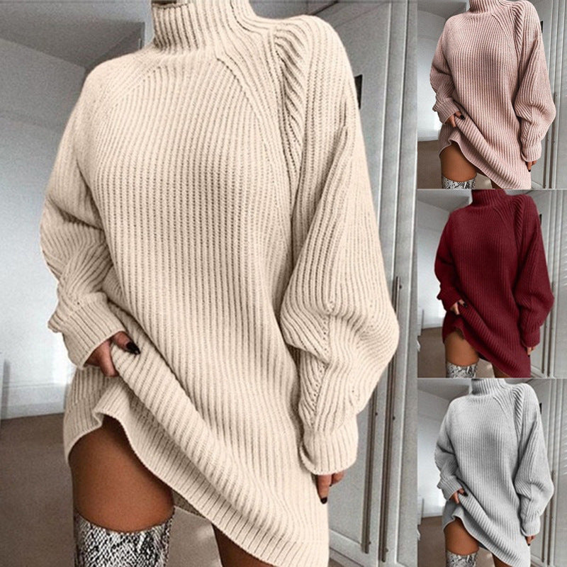 Solide Rollkragen Lange Pullover Winter Warme Frauen Pullover Kleid