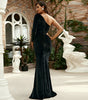 Long Sleeve Diagonal Collar Sexy Cutout Banquet Sheath Velvet Evening Dress