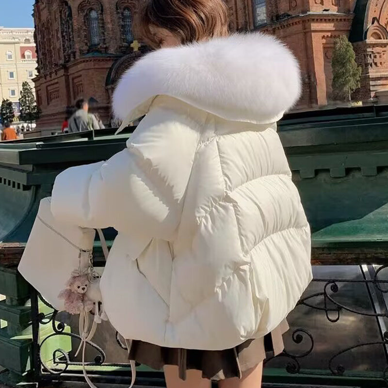 Women's Short Fur Collar Padded Winter Jacket