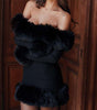 Fur Collar Long Sleeve Off Shoulder Dress
